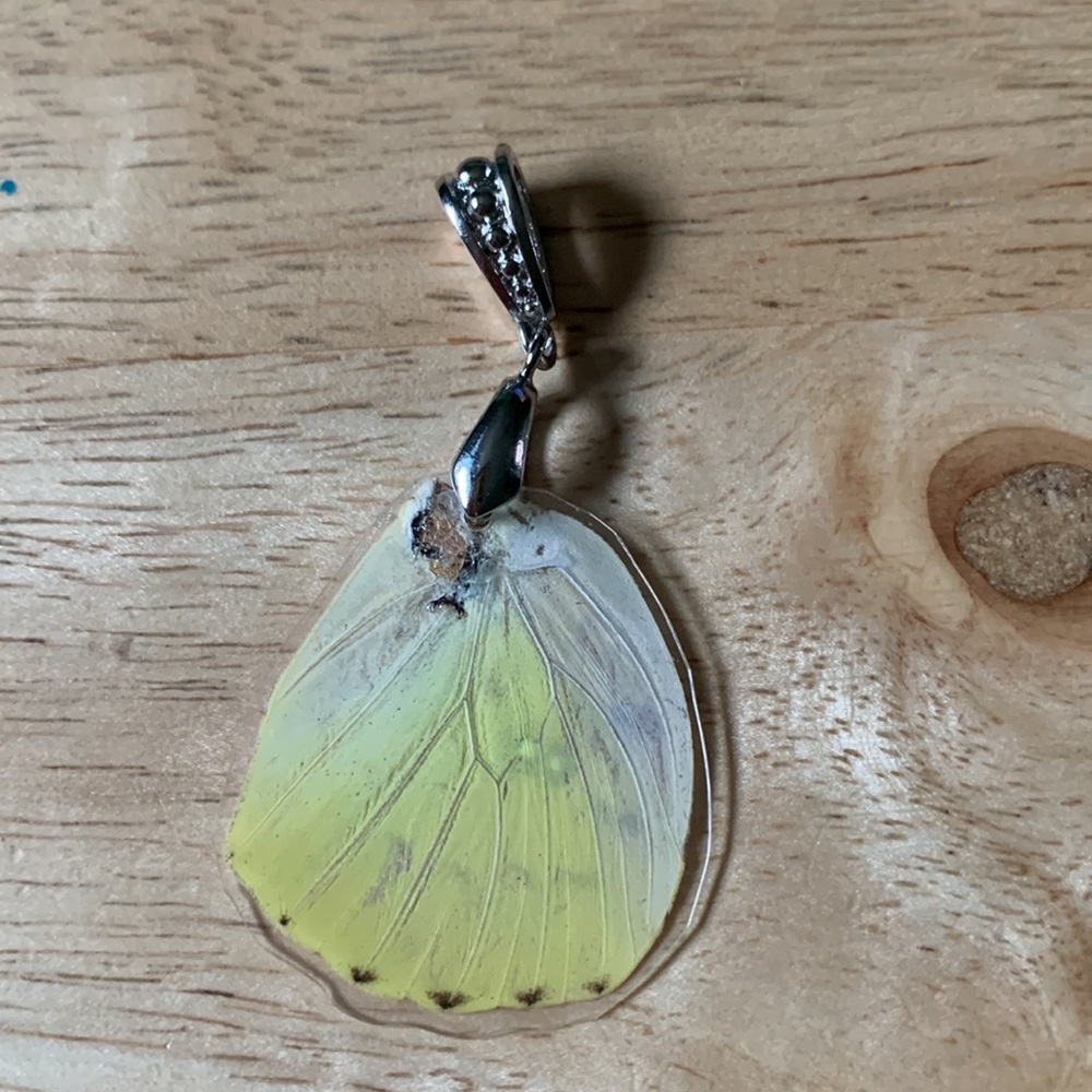 Real butterfly wing pendant!🦋 - Picture 2 of 2
